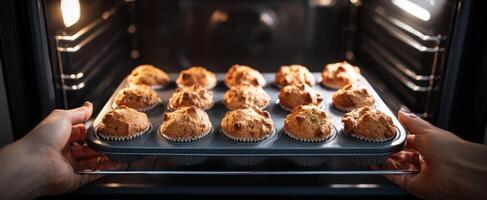 The warm tray of freshly baked muffins being taken from the oven. photo