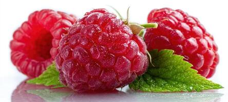 The vibrant raspberries glistening with freshness and surrounded by green leaves. photo