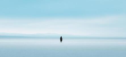 The solitary figure on the tranquil, vast landscape of blue. photo