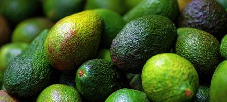 The vibrant assortment of fresh avocados in a colorful display. photo