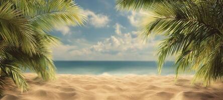 The tranquil beach view framed by lush palm trees and blue ocean. photo