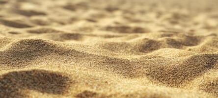 The Golden Sand Flowing in Soft Undulations Under Bright Natural Light photo