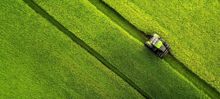 The tractor cultivating green fields in the rural landscape. photo