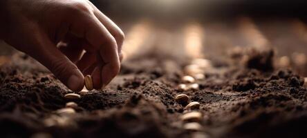 The hand planting seeds into rich soil for a sustainable agricultural future photo