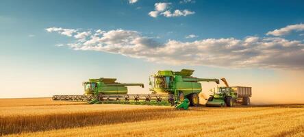 The vibrant green combines harvesting grain across a golden wheat field at sunset. photo
