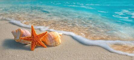 The beautiful starfish and seashells on a tranquil sandy beach. photo