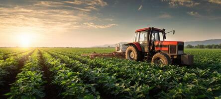 The tractor working in a vibrant green field during a stunning sunset. photo