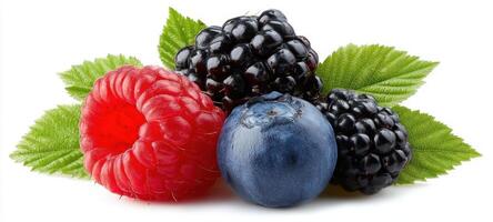 The Fresh Combination of Colorful Berries and Lush Green Leaves photo