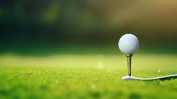 Golf ball on tee and green grass background photo