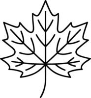 Elegant Maple Leaf Line Art for Autumn and Thanksgiving Projects vector
