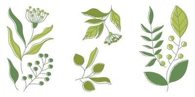 Botanical bliss in three prints with soft minimalist drawing vector
