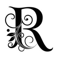 the letter r is in black and white vector