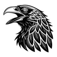 eagle head with feathers and feathers on a white background vector