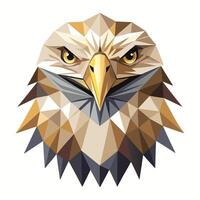 an eagle head in low polygonal style vector