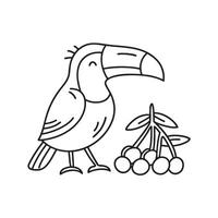 A toucan sitting near a cluster of fruits in the forest vector