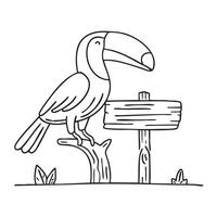 A toucan watching from a tree near a wooden sign vector