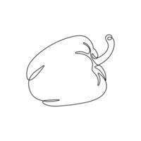 Paprika in continuous line drawing style. Bell peppers Black linear sketch isolated on white background. vector