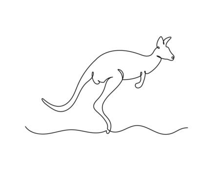 Kangaroo jumping in continuous line art drawing style. Minimalist black linear sketch of animal isolated on white background.. vector