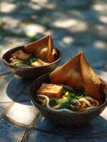 Delicious Udon Noodle Soup with Tofu and Crispy Wonton Wrappers in Rustic Bowls. photo