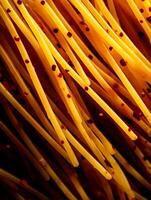Close Up of Spaghetti with Red Pepper Flakes. A detailed image showcasing the texture and color of cooked pasta. photo