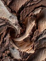 Close Up of Creamy Chocolate and Vanilla Ice Cream Texture. A Detailed Image Showing the Swirls and Texture of Two Delicious Ice Cream Flavors. photo