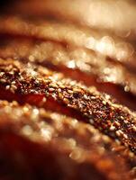 Close Up of Sesame Seeds and Spices on Grilled Salmon, Glowing in Sunlight. photo