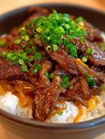 Close up of Delicious Beef and Rice Bowl Topped with Green Onions. photo