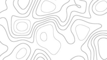 White Background with Thin Gray Contour Lines vector