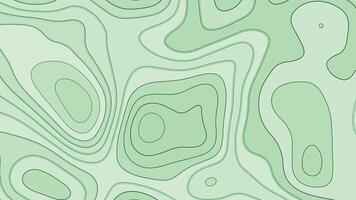Green Topographic Map Background with Contour Lines. Abstract Elevation Pattern in Minimal Style vector