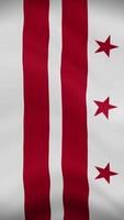 District of Columbia Waving Flag in Vertical Orientation. Realistic Flag Animation. Seamless Loop Background. video