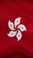 Hong Kong Waving Flag in Vertical Orientation. Realistic Flag Animation. Seamless Loop Background. video
