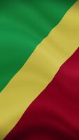 Republic of the Congo Waving Flag in Vertical Orientation. Realistic Flag Animation. Seamless Loop Background. video