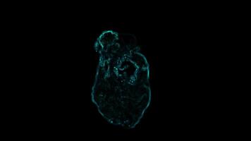 Abstract Glowing Cyan Organic Fluid Simulation Animation on Black Background Dynamic Evolving Shape VFX video