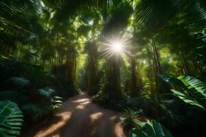 A path through a tropical forest with sun shining through the trees photo