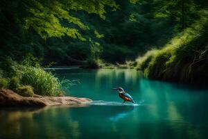 A kingfisher is standing on the edge of a river photo