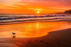 A seagull stands on the beach at sunset photo