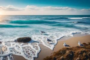 Seagulls on the beach at sunset photo