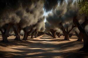 A long row of trees in the middle of a field photo