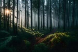 A path through the woods with the sun shining through the trees photo
