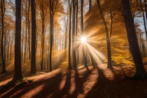 Photograph autumn forest by james watson on 500px photo