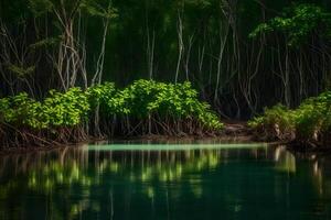 A river in the middle of a forest with trees photo