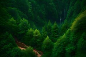 A forest with trees and waterfalls in the background photo