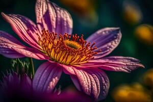 A close up of a pink flower with yellow centers photo