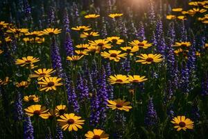 A field of wildflowers with the sun shining through photo