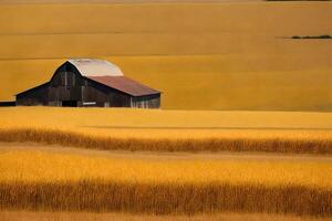 A barn sits in the middle of a field photo