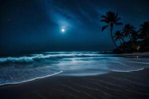 A beach at night with palm trees and a moon photo