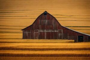 An old barn sits in the middle of a field photo