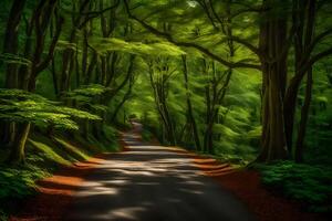 A road through a green forest with trees on both sides photo