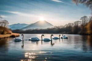 Swans on a lake in front of mountains photo