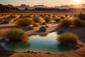 A small pool in the desert with rocks and grass photo